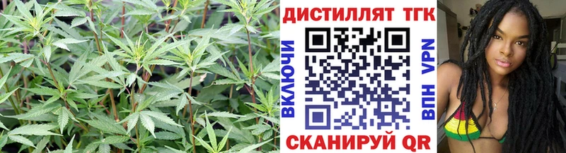 Дистиллят ТГК Wax  даркнет наркотические препараты  Алупка 