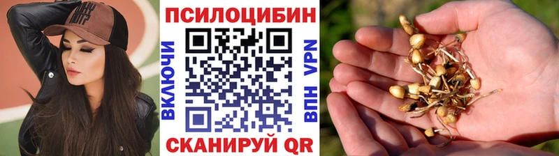 купить закладку  Алупка  Псилоцибиновые грибы GOLDEN TEACHER 